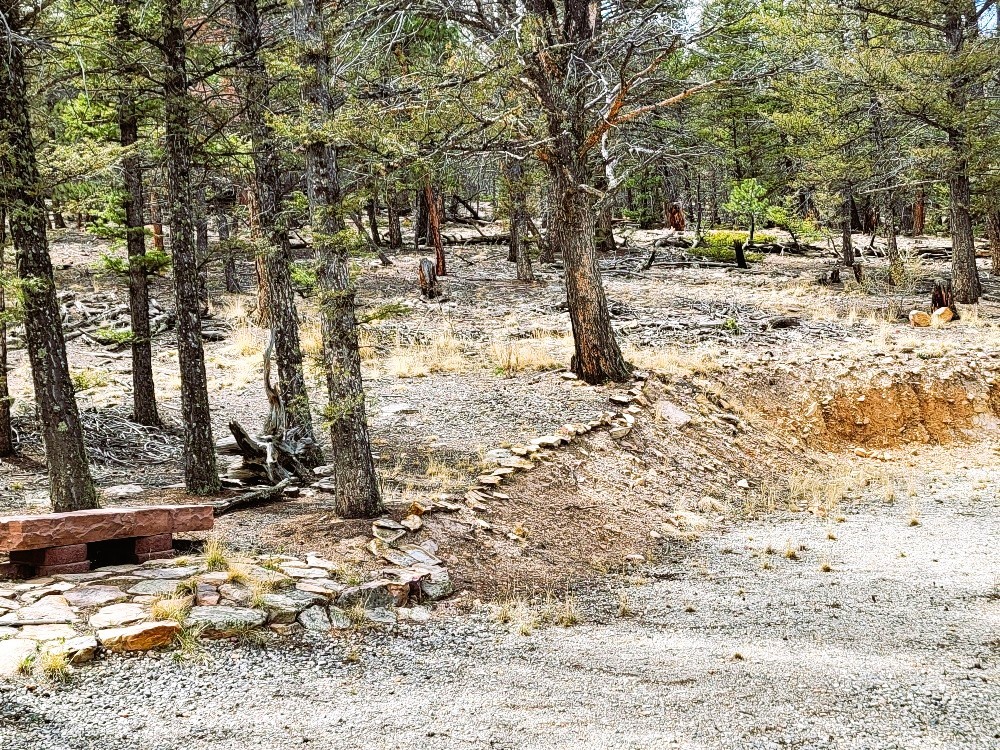 1941 Redhill Road Fairplay, CO 80440 - Photo 22 of 50