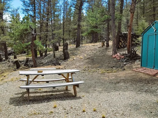 a view of a bench in a backyard