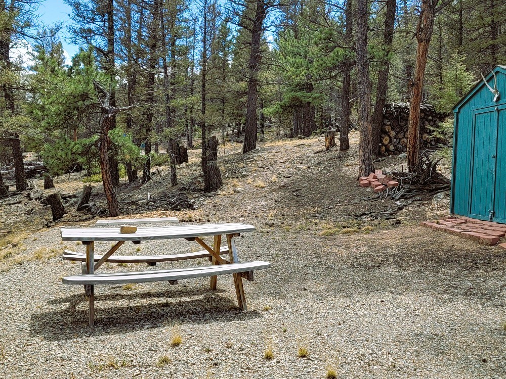 1941 Redhill Road Fairplay, CO 80440 - Photo 24 of 50