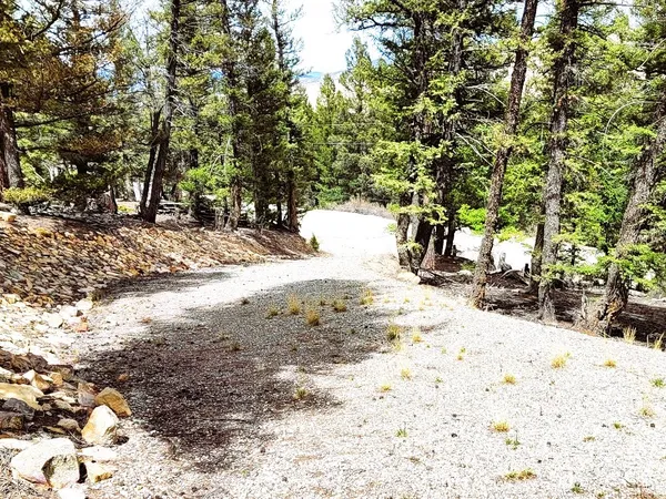 a view of road with trees