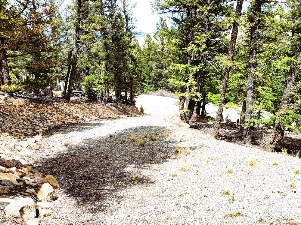 1941 Redhill Road Fairplay, CO 80440 - Photo 25 of 50