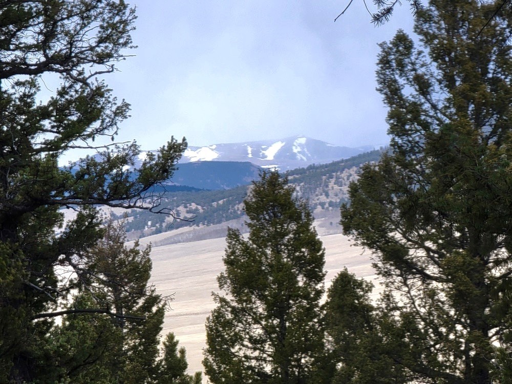 1941 Redhill Road Fairplay, CO 80440 - Photo 26 of 50