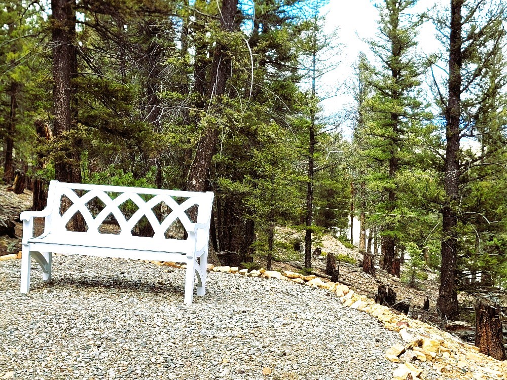 1941 Redhill Road Fairplay, CO 80440 - Photo 27 of 50