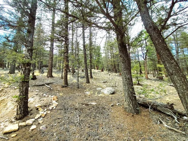 a view of outdoor space with trees