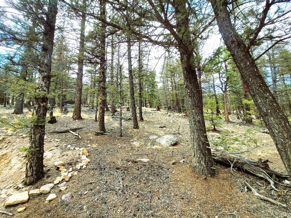 1941 Redhill Road Fairplay, CO 80440 - Photo 29 of 50