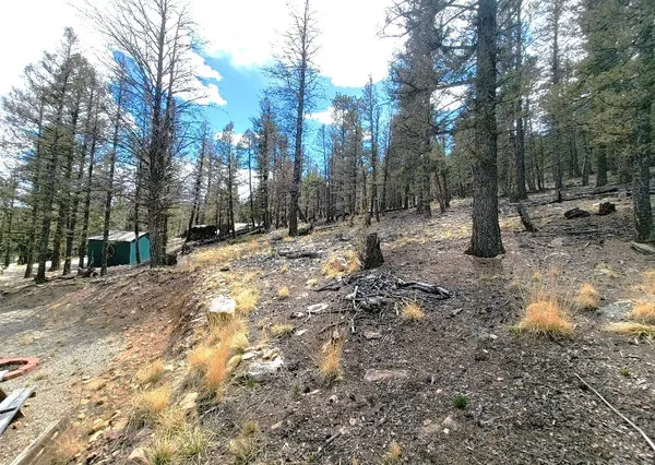 a view of a lake with trees
