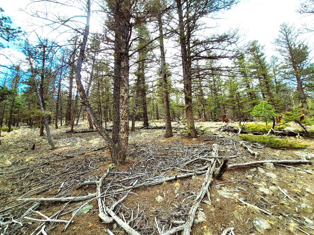 1941 Redhill Road Fairplay, CO 80440 - Photo 35 of 50