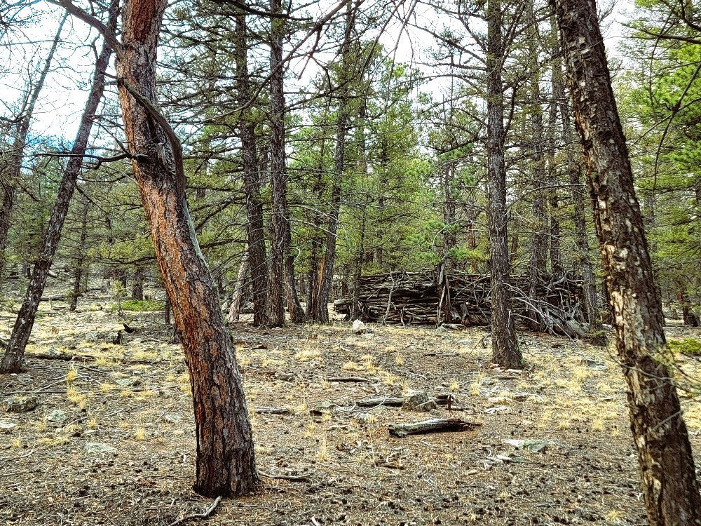 1941 Redhill Road Fairplay, CO 80440 - Photo 38 of 50