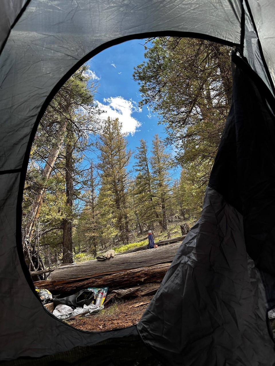 1941 Redhill Road Fairplay, CO 80440 - Photo 4 of 50