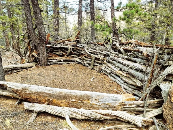 a view of outdoor space with trees