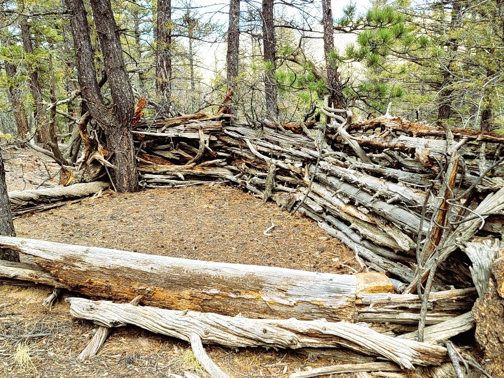 1941 Redhill Road Fairplay, CO 80440 - Photo 44 of 50