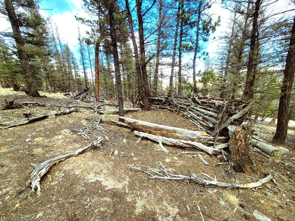 1941 Redhill Road Fairplay, CO 80440 - Photo 45 of 50