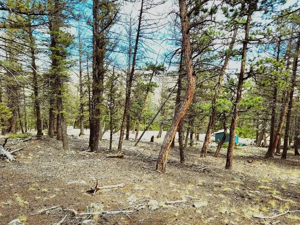 a view of snow on a road