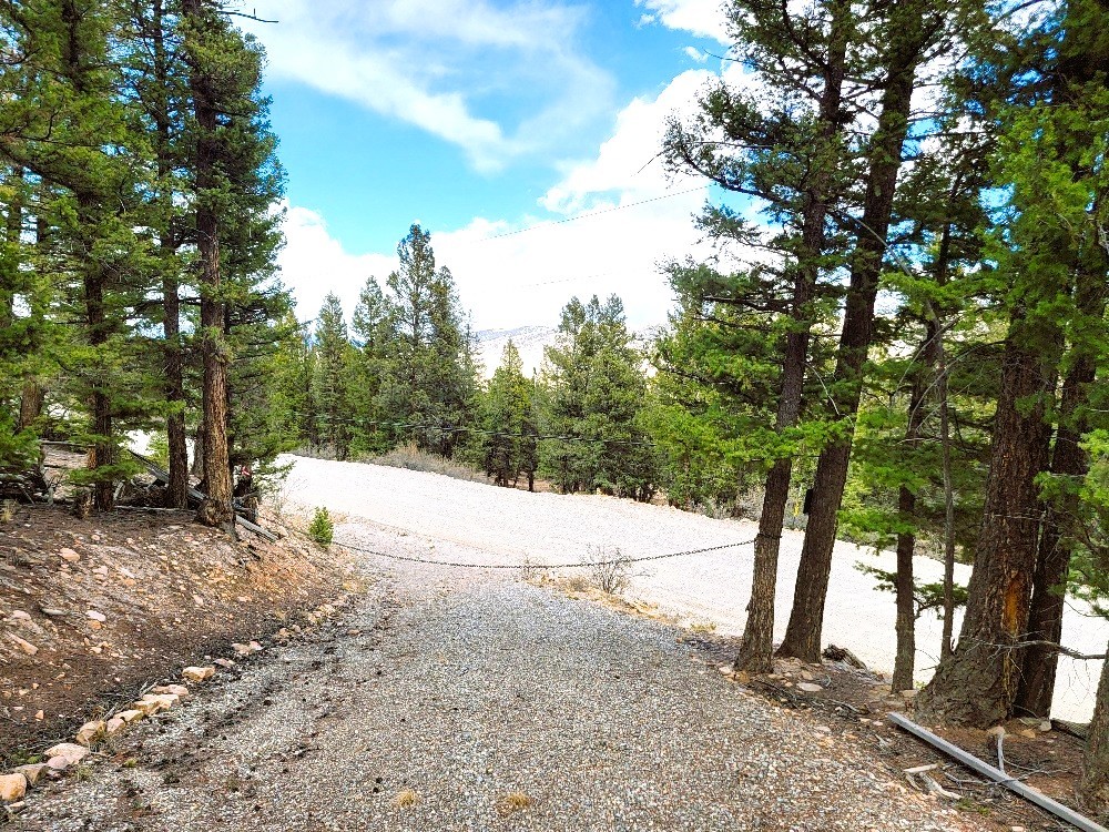 1941 Redhill Road Fairplay, CO 80440 - Photo 47 of 50