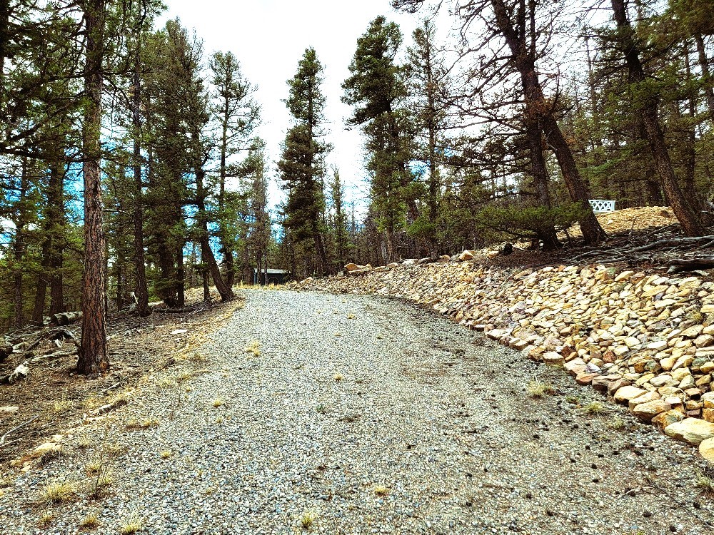 1941 Redhill Road Fairplay, CO 80440 - Photo 48 of 50