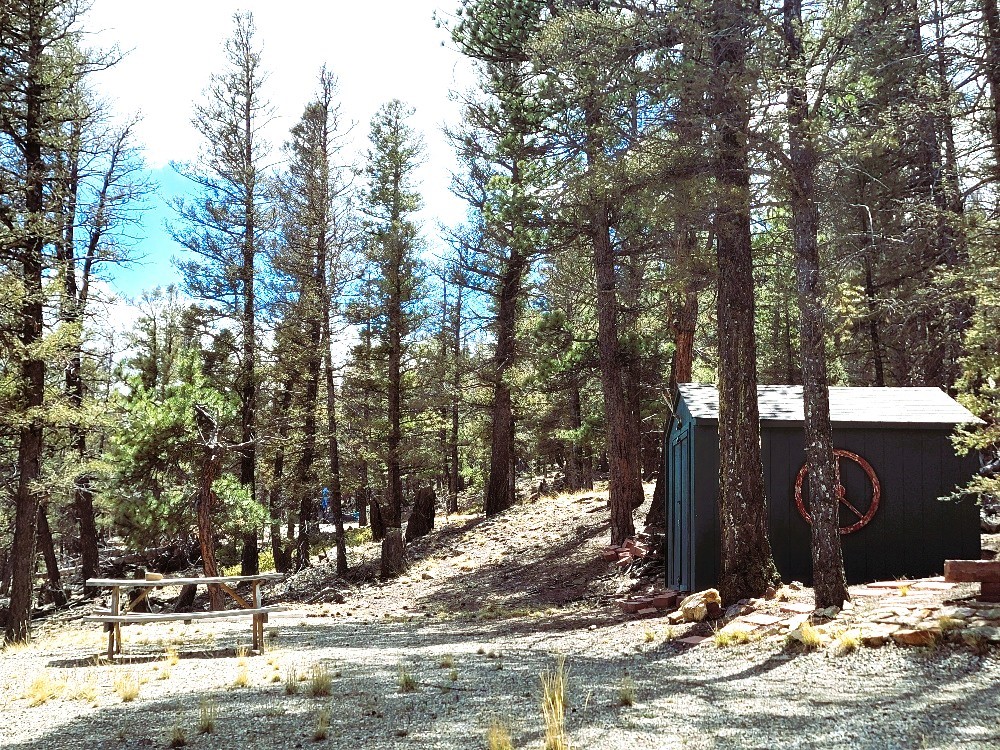 1941 Redhill Road Fairplay, CO 80440 - Photo 49 of 50