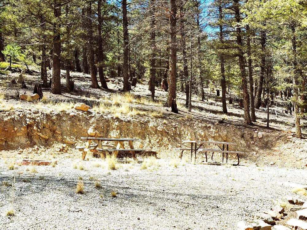 1941 Redhill Road Fairplay, CO 80440 - Photo 50 of 50