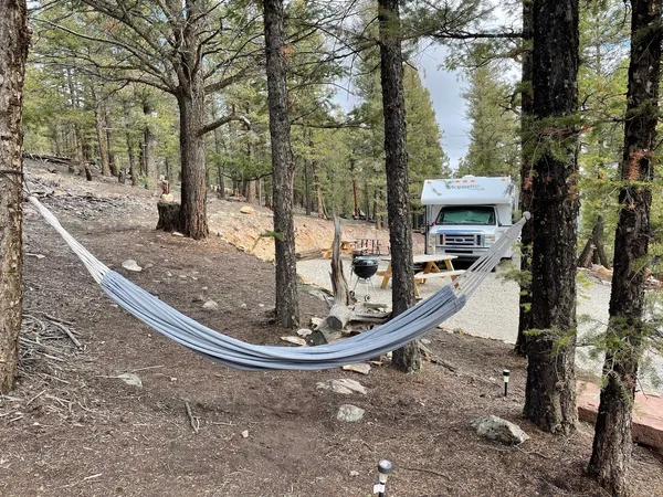 a view of a couches of the house