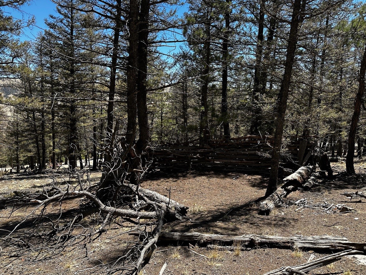 1941 Redhill Road Fairplay, CO 80440 - Photo 9 of 50