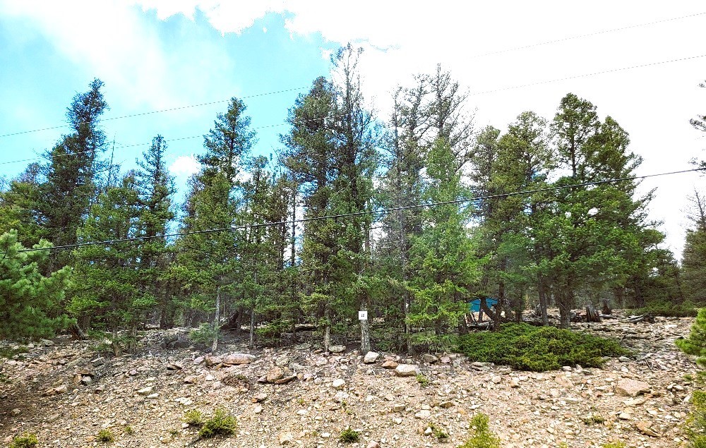 1941 Redhill Road Fairplay, CO 80440 - Photo 10 of 50