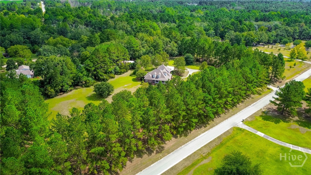 401 Magnolia Bluff Road Statesboro, GA 30461 - Photo 70 of 73