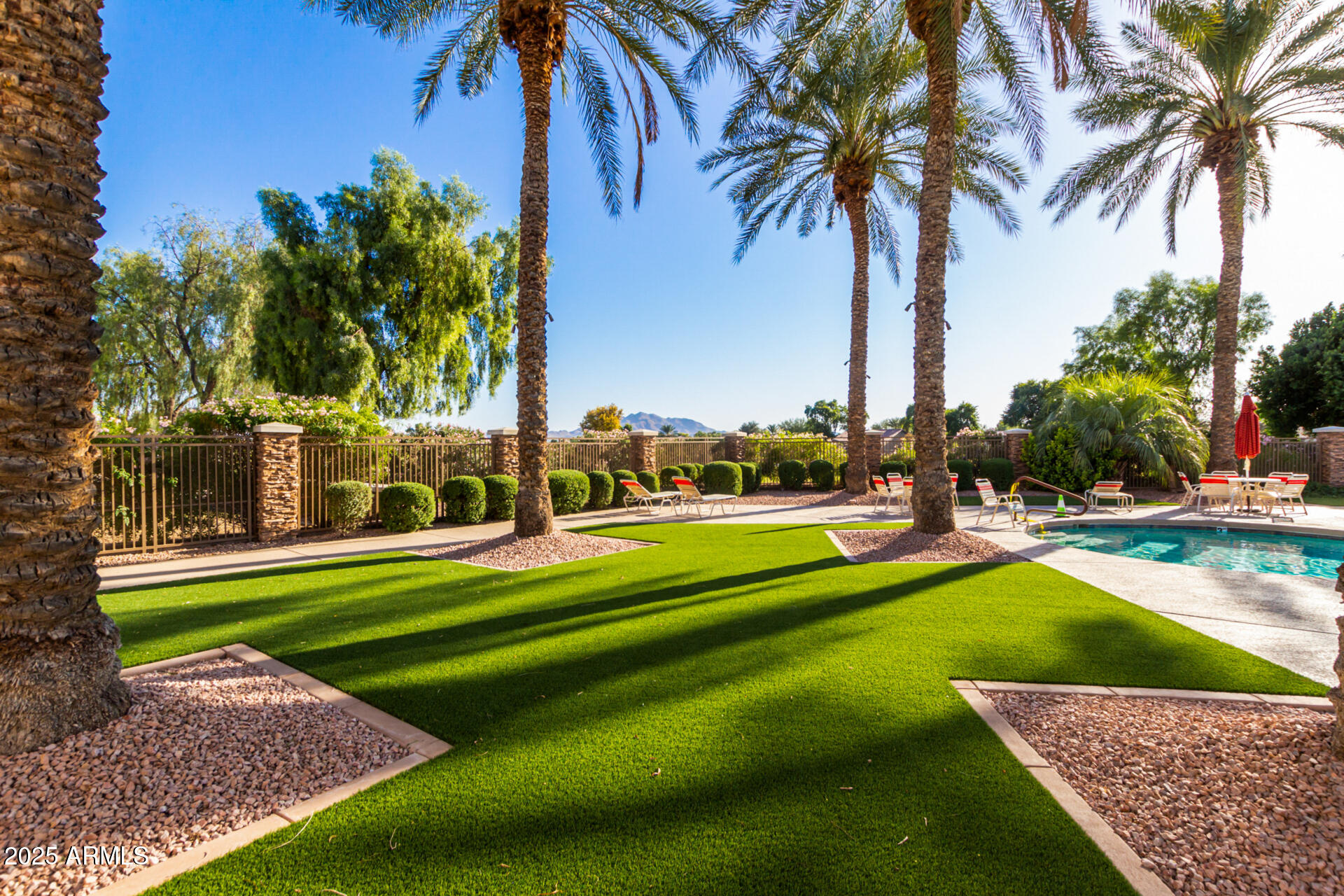 5035 South Ranger Trail Gilbert, AZ 85298 - Photo 45 of 64 a view of a yard with palm trees