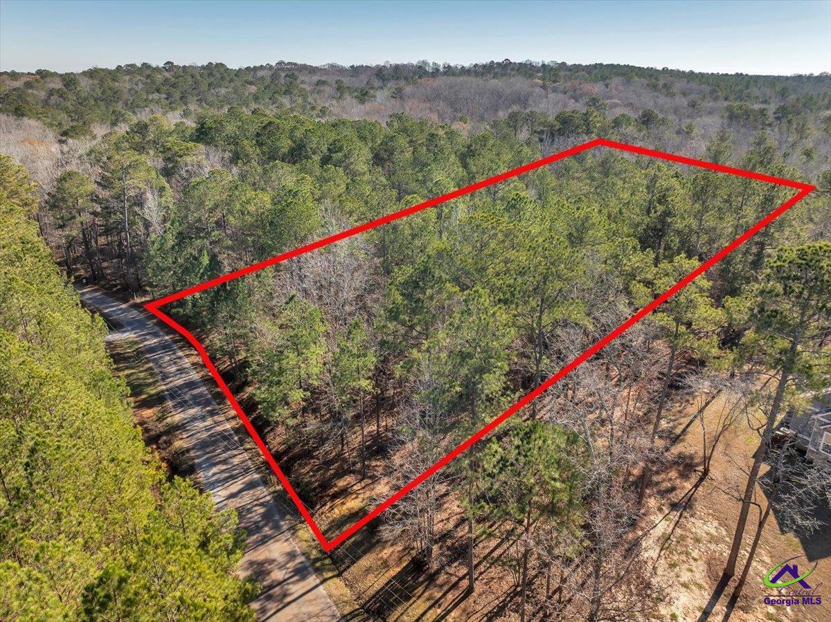 0 Renouf Road Forsyth, GA 31029 - Photo 15 of 18