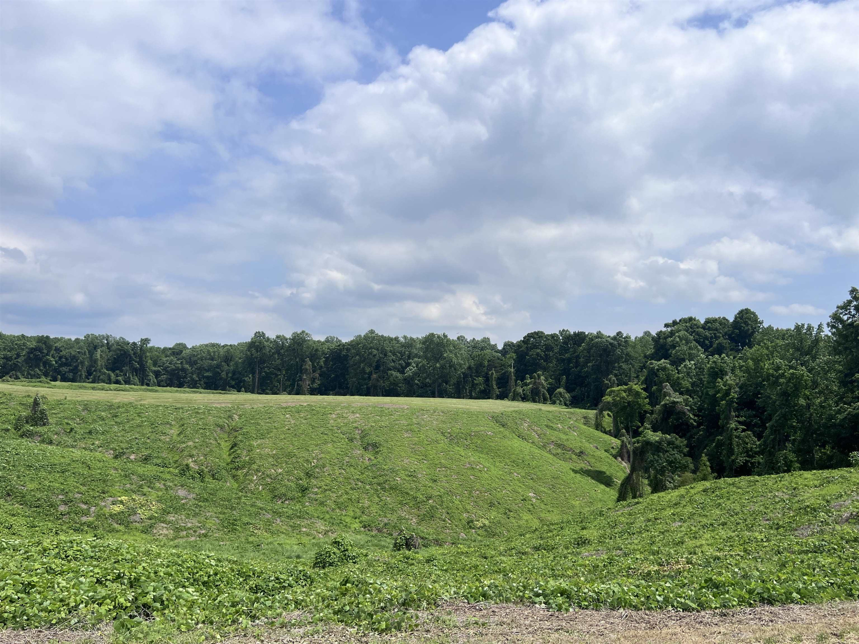 6108 Webb Store Road Hornbeak, TN 38232 - Photo 21 of 36 Photo 21