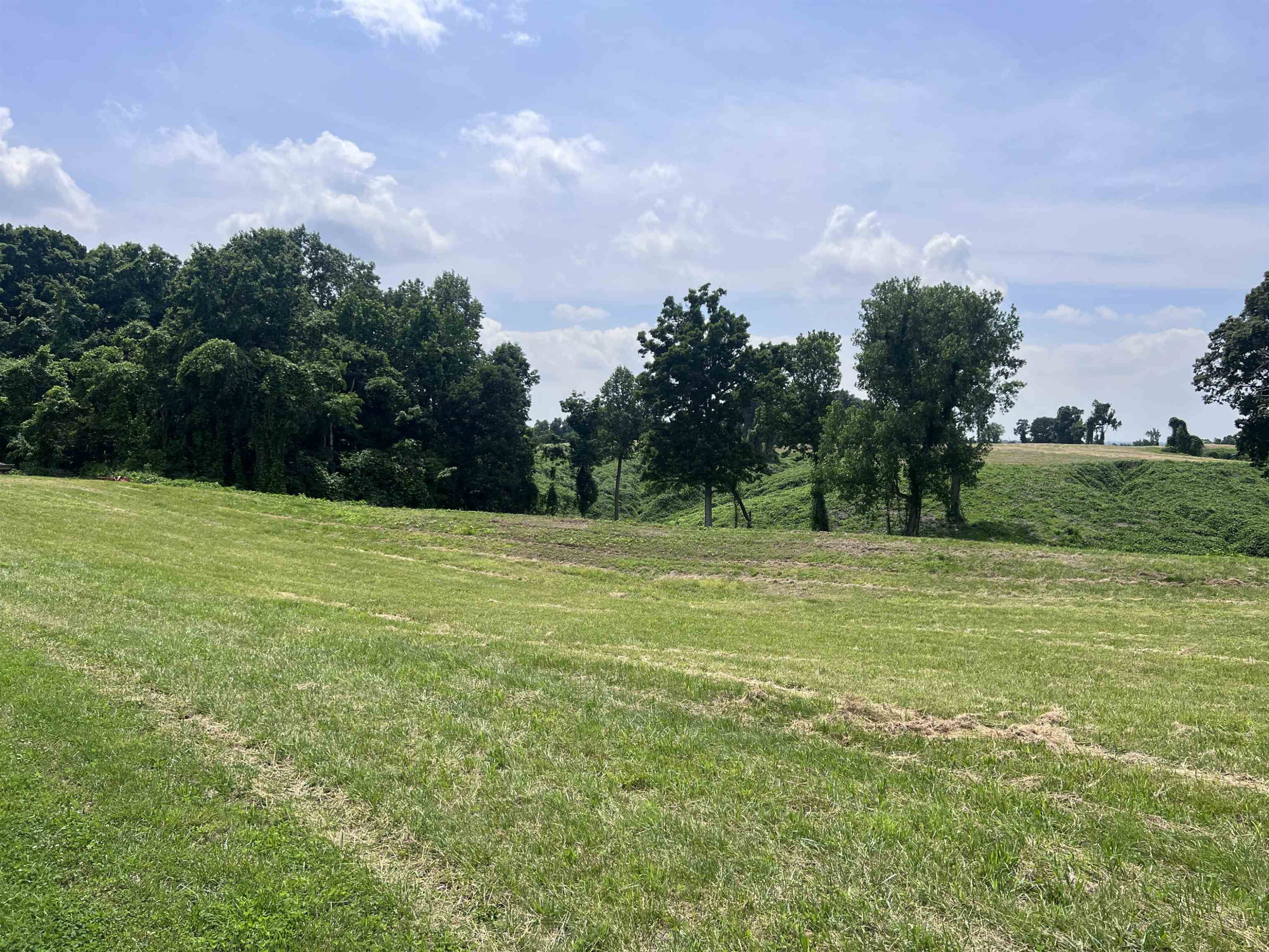 6108 Webb Store Road Hornbeak, TN 38232 - Photo 22 of 36 Photo 22