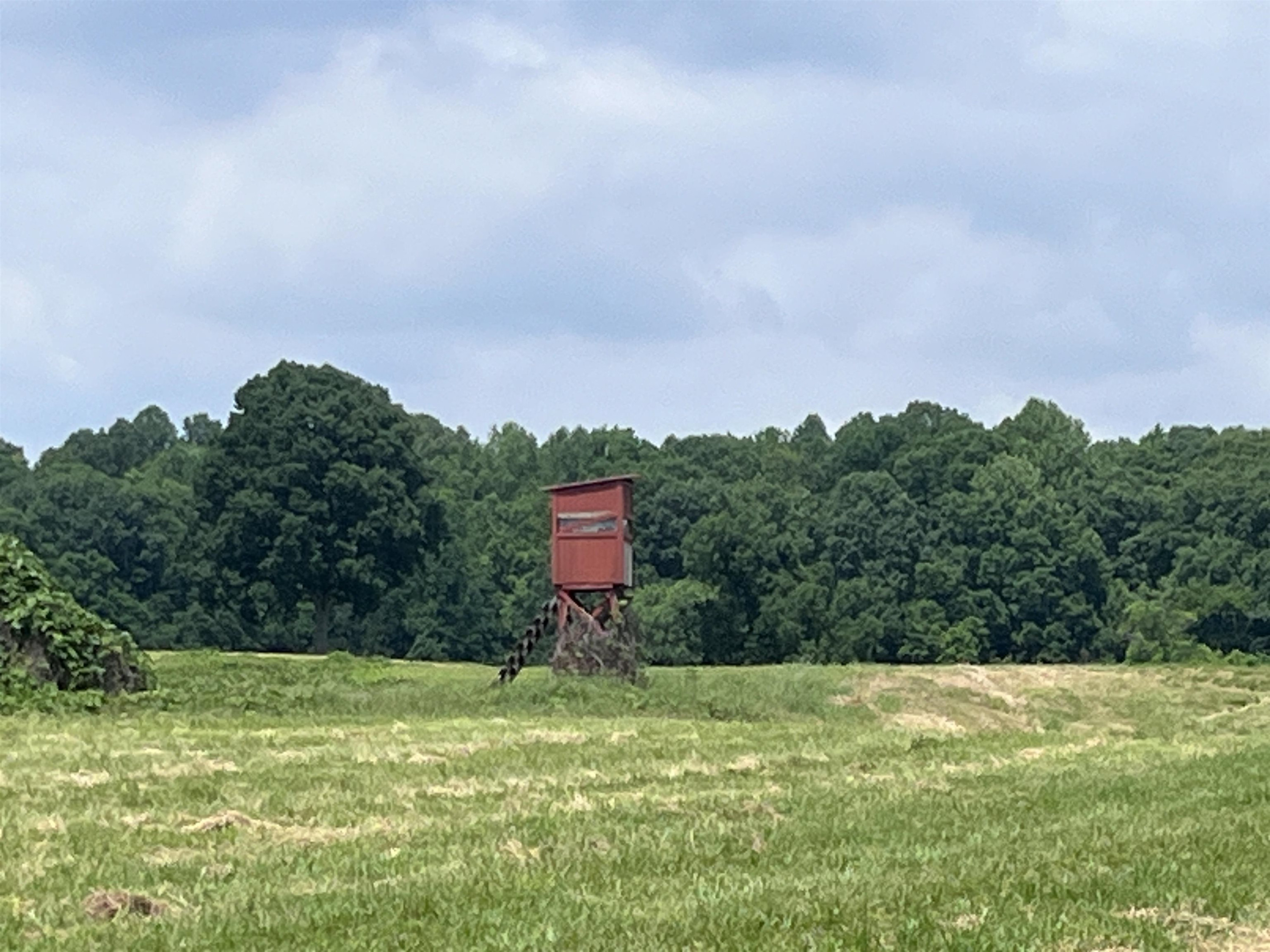 6108 Webb Store Road Hornbeak, TN 38232 - Photo 24 of 36 Photo 24
