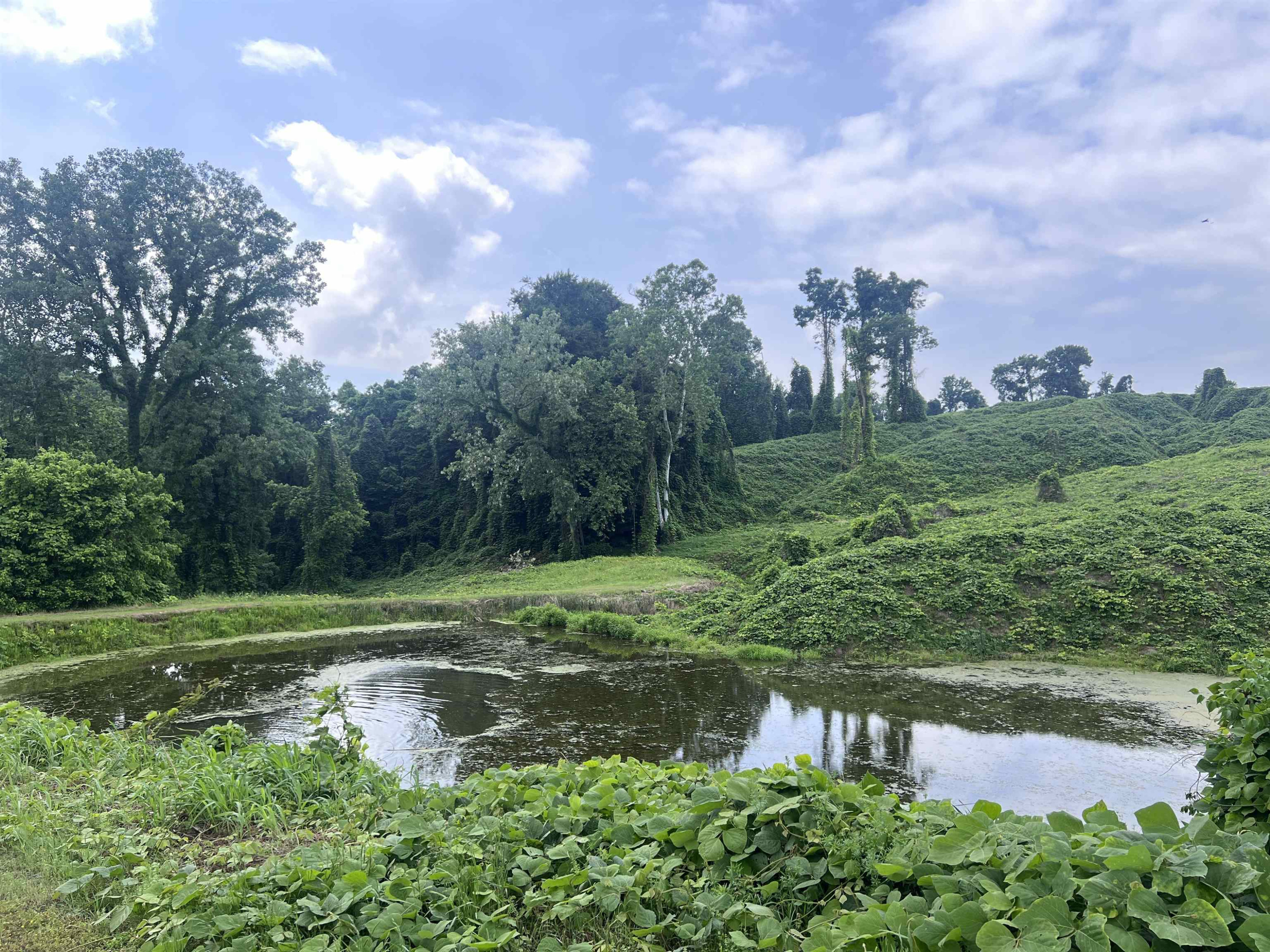 6108 Webb Store Road Hornbeak, TN 38232 - Photo 26 of 36 Photo 26