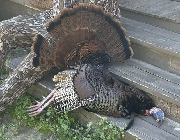 $1,200,000 | 6108 Webb Store Road, Hornbeak, TN 38232