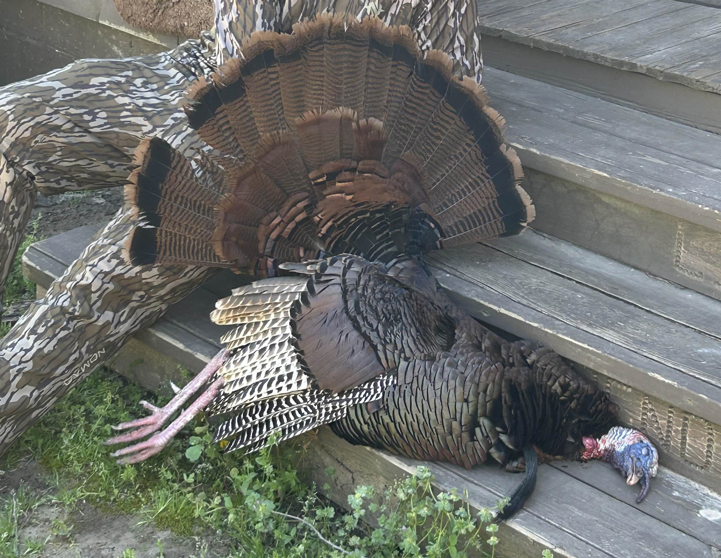 6108 Webb Store Road Hornbeak, TN 38232 - Photo 28 of 36 Photo 28