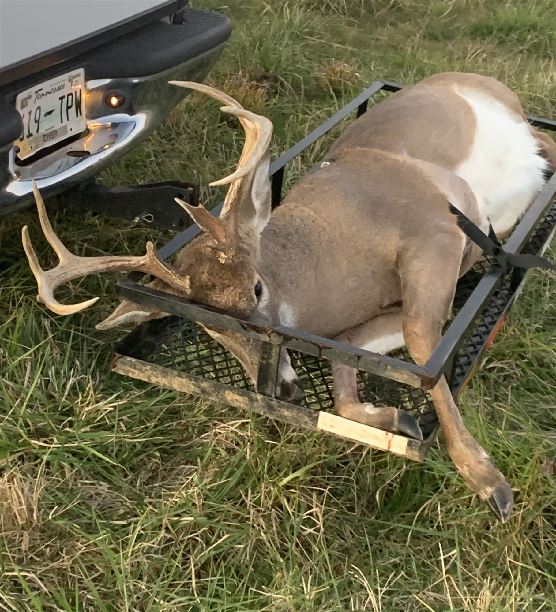 6108 Webb Store Road Hornbeak, TN 38232 - Photo 29 of 36 Photo 29