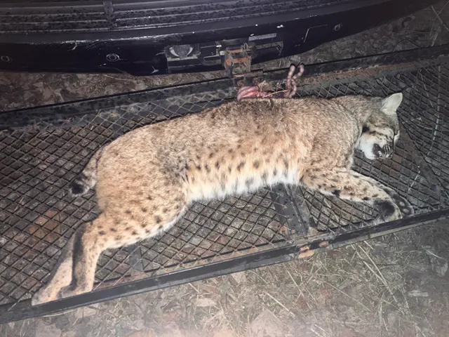 $1,200,000 | 6108 Webb Store Road, Hornbeak, TN 38232