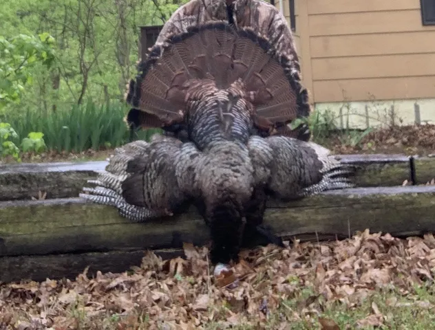 $1,200,000 | 6108 Webb Store Road, Hornbeak, TN 38232