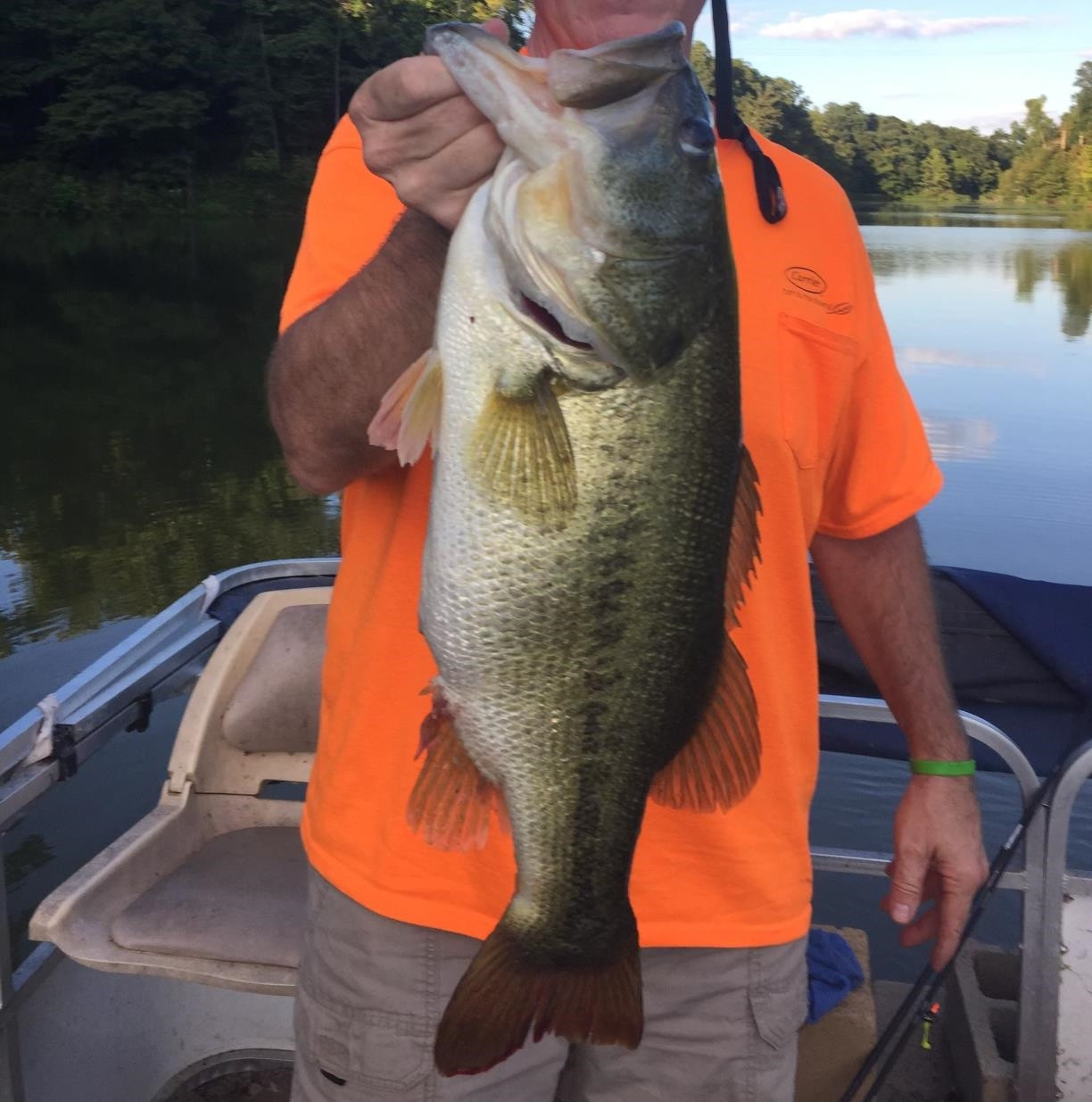 6108 Webb Store Road Hornbeak, TN 38232 - Photo 32 of 36 Photo 32