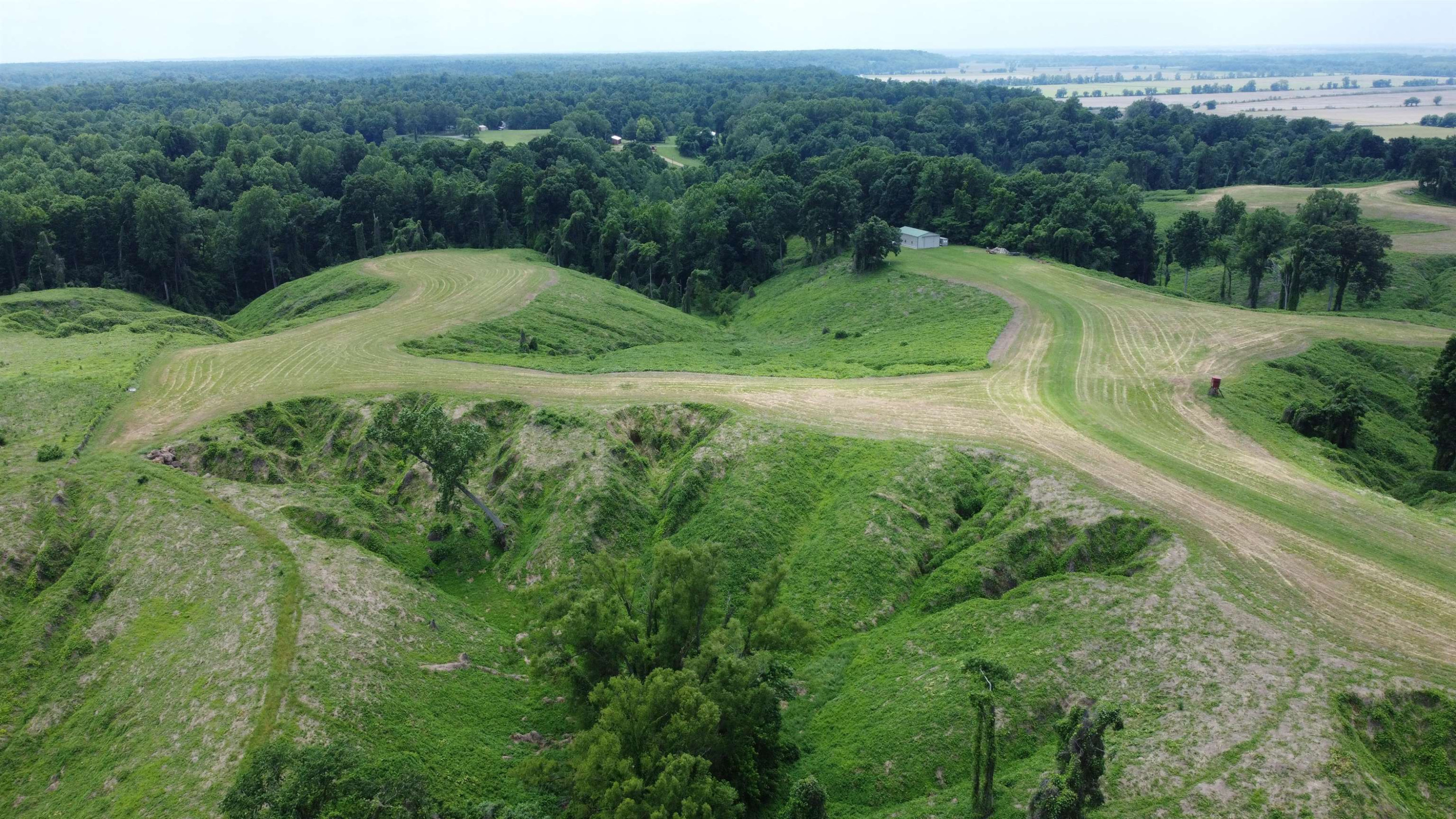 6108 Webb Store Road Hornbeak, TN 38232 - Photo 5 of 36 Photo 5