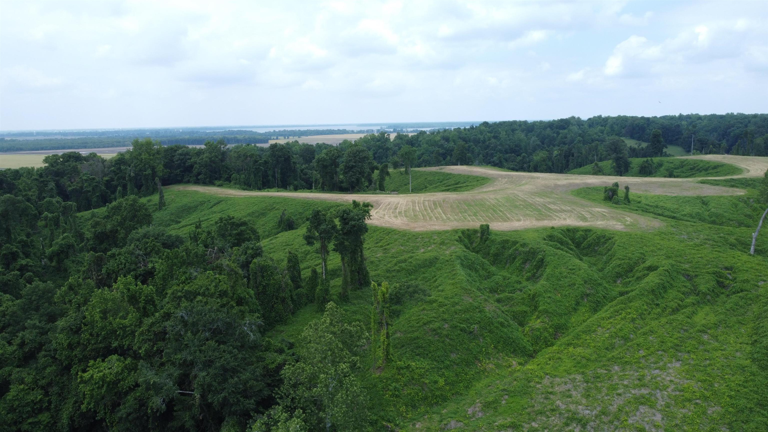 6108 Webb Store Road Hornbeak, TN 38232 - Photo 6 of 36 Photo 6