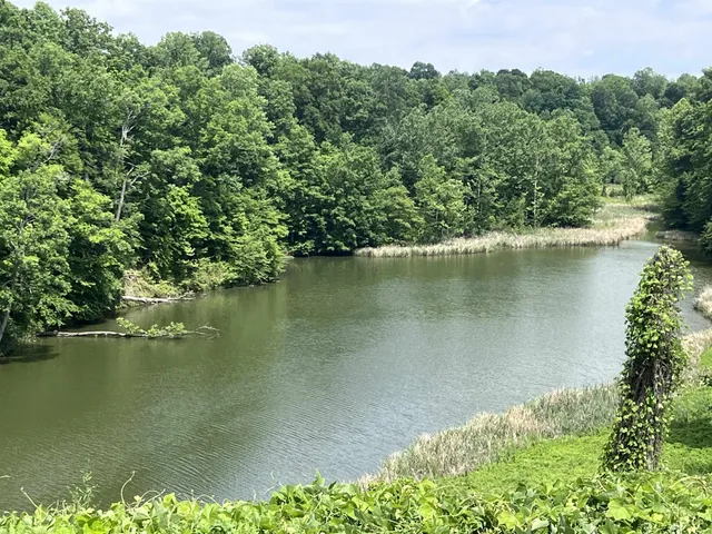 $1,200,000 | 6108 Webb Store Road, Hornbeak, TN 38232