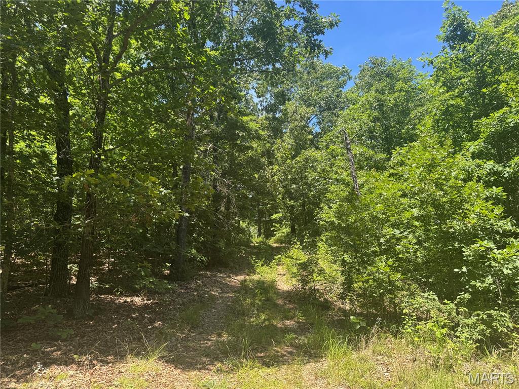 N/a South Klein Road Steelville, MO 65565 - Photo 3 of 6