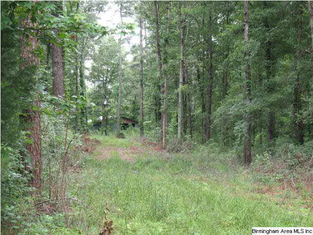 0 Rockcrusher Road, Unit 10 AC Steele, AL 35987 - Photo 5 of 8