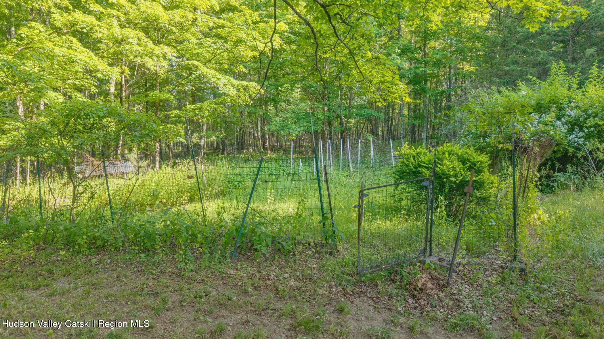 4533 Atwood Road Stone Ridge, NY 12484 - Photo 63 of 63 Image-37