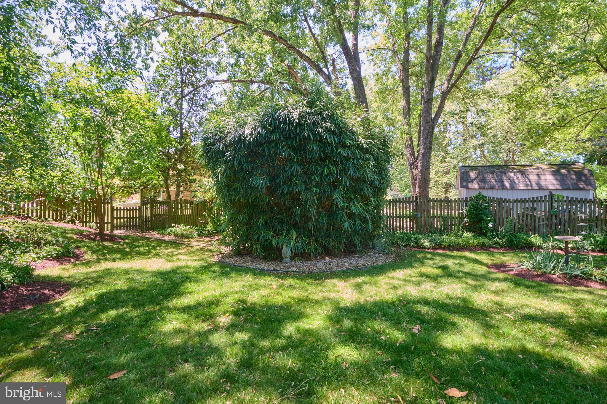 2403 Arrow Park Drive Alexandria, VA 22306 - Photo 54 of 56 Back Yard