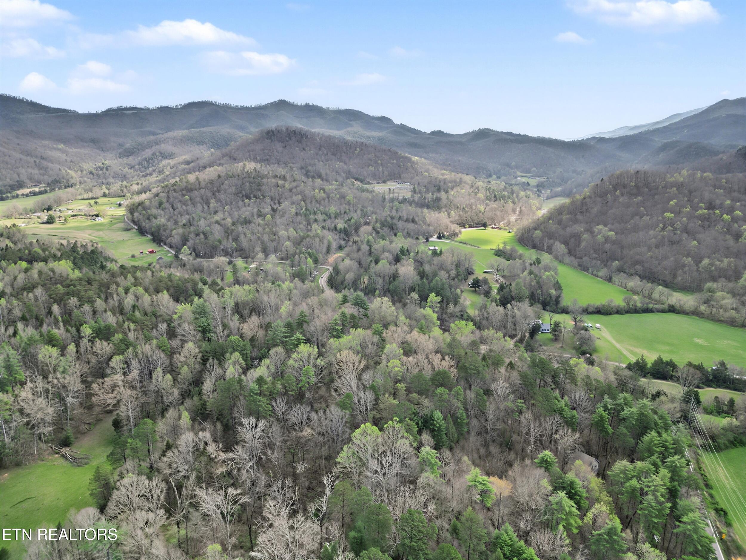 Wears Valley Road Townsend, TN 37882 - Photo 11 of 31 8_8