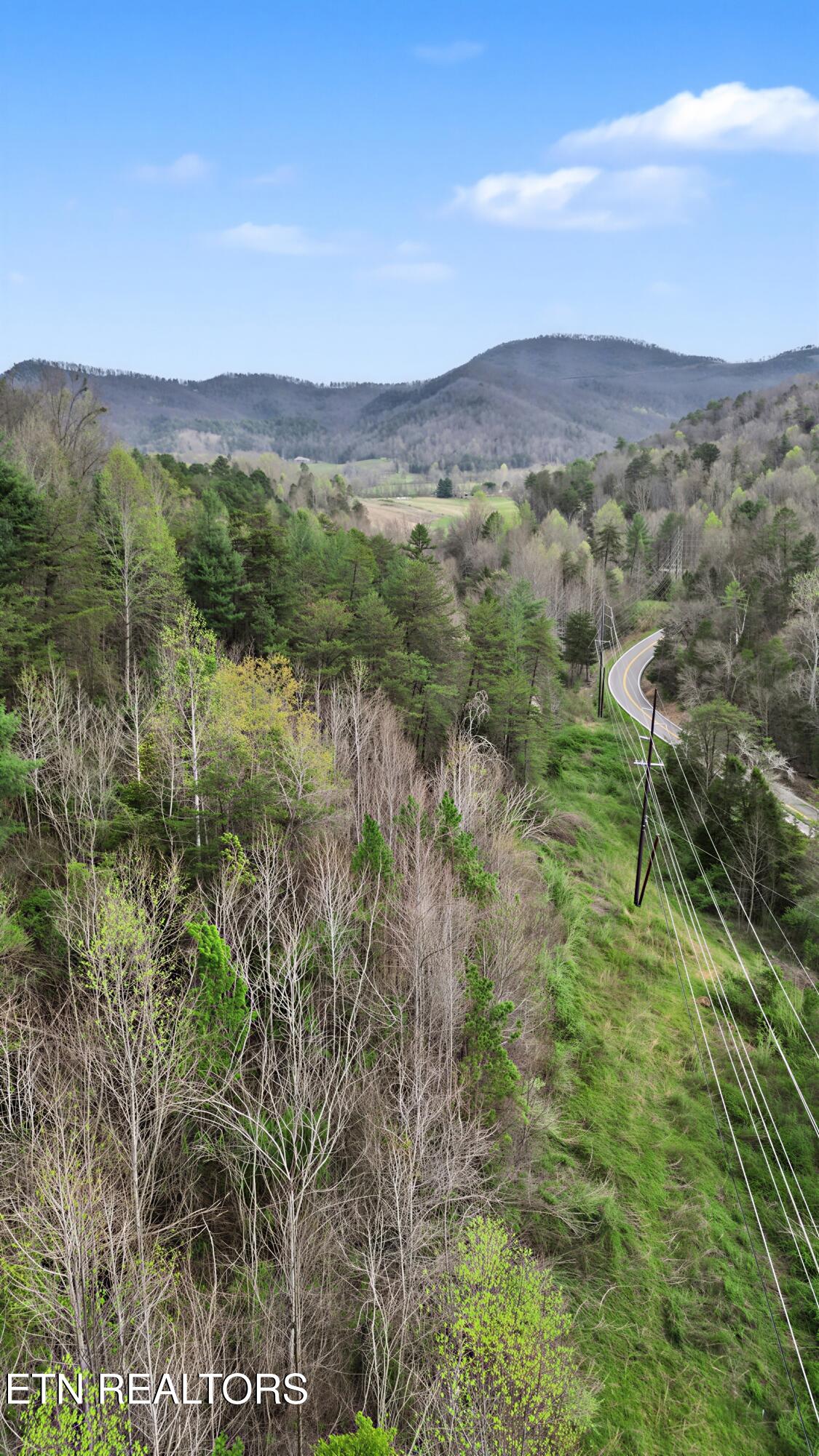 Wears Valley Road Townsend, TN 37882 - Photo 18 of 31 14_16