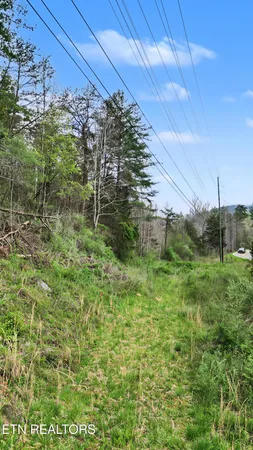 $995,000 | Wears Valley Road, Townsend, TN 37882