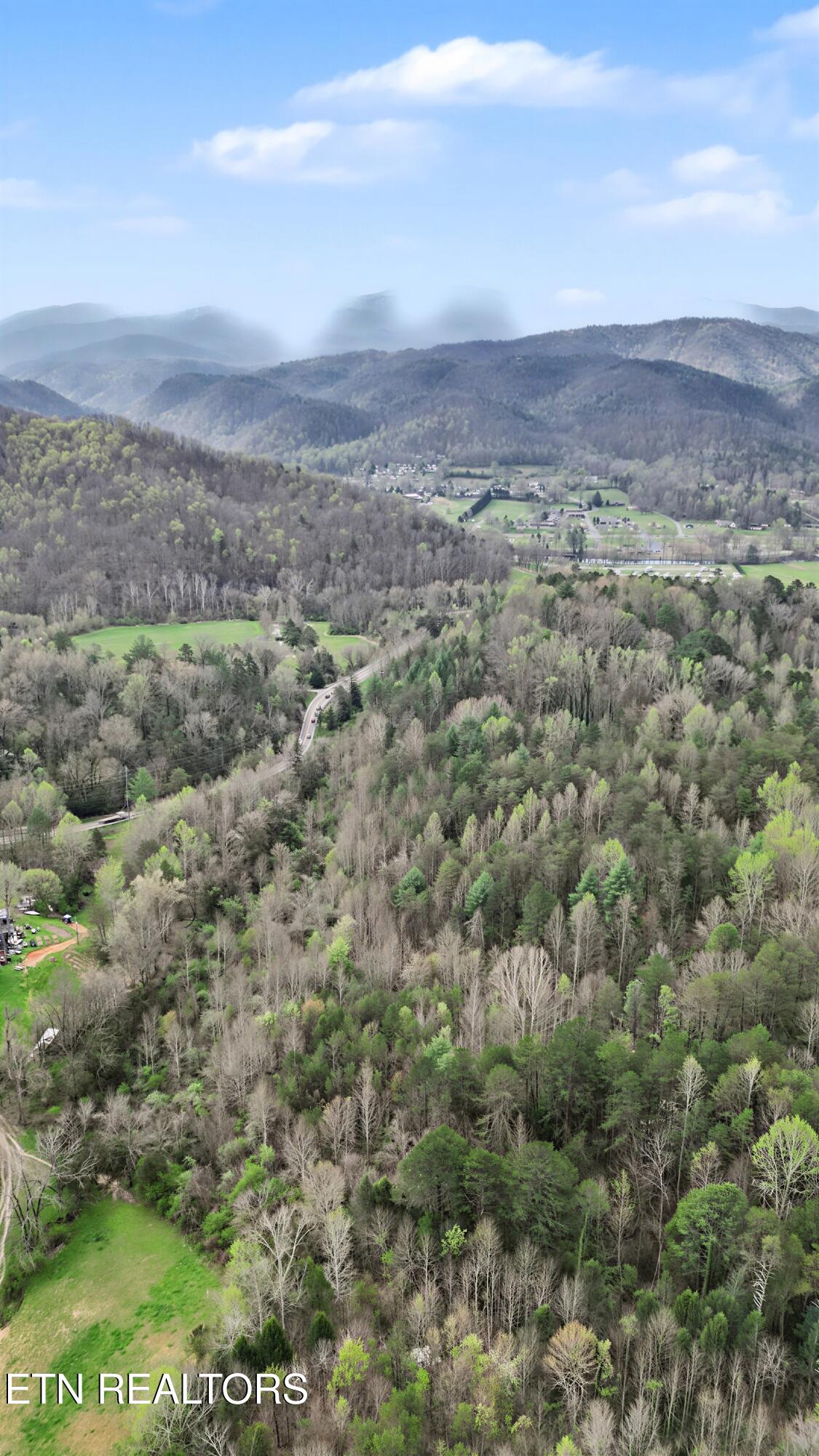 Wears Valley Road Townsend, TN 37882 - Photo 21 of 31 17_19