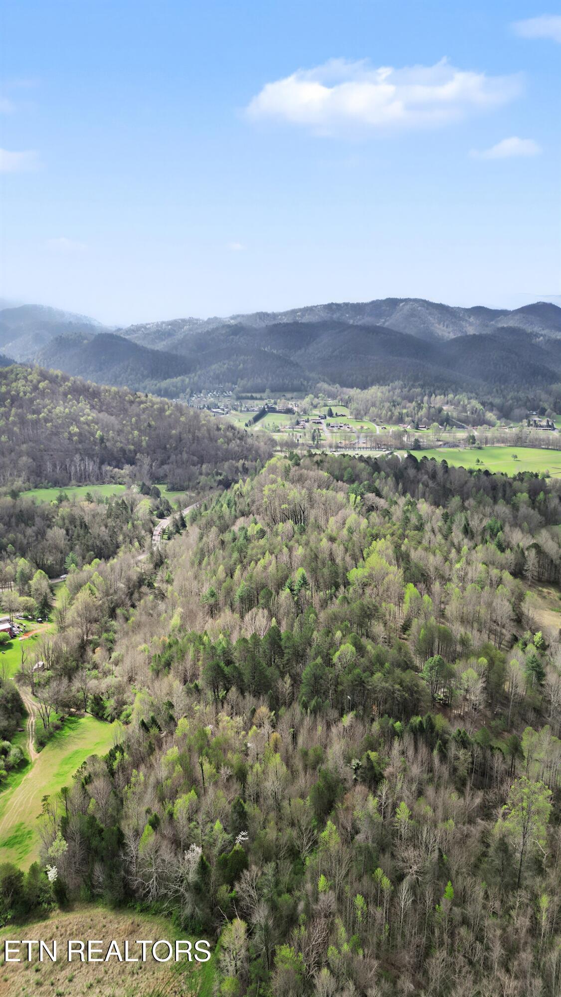 Wears Valley Road Townsend, TN 37882 - Photo 29 of 31 24_26