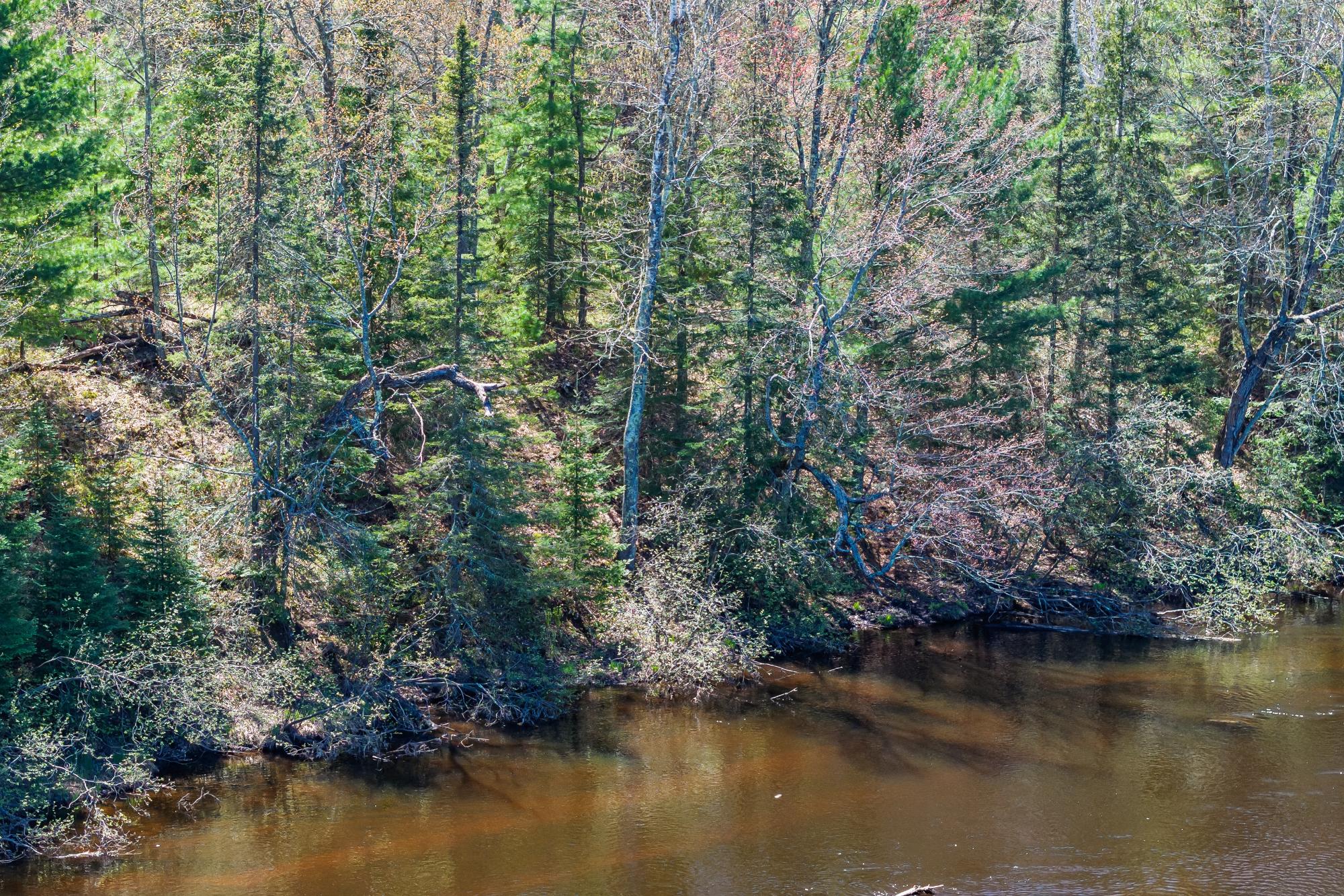 Off River Road, Unit LOT 5 Eagle River, WI 54521 - Photo 8 of 24 Gallery Image 8
